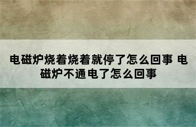 电磁炉烧着烧着就停了怎么回事 电磁炉不通电了怎么回事